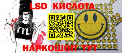 PSILOCYBIN Заводоуковск