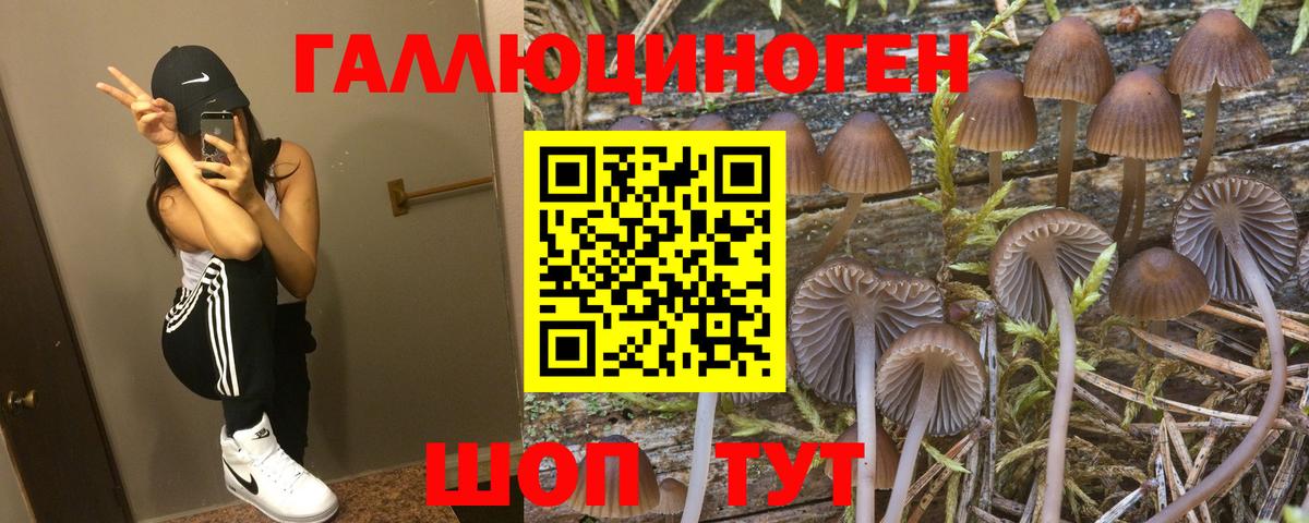Псилоцибиновые грибы мухоморы Красный Сулин